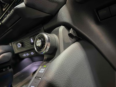 TOYOTA LAND CRUISER 250 - 9