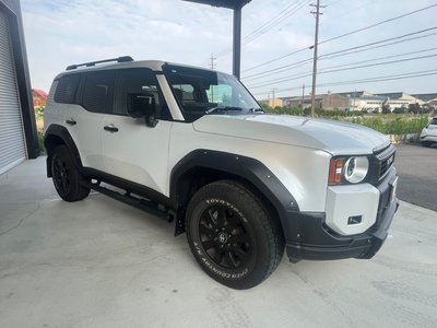 TOYOTA LAND CRUISER 250 - 9