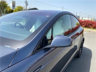 صورة مصغرة 44 لـ 2018 Tesla MODEL X