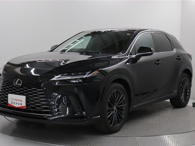 LEXUS RX - 1