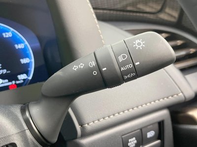 صورة مصغرة 52 لـ 2025 Toyota ALPHARD