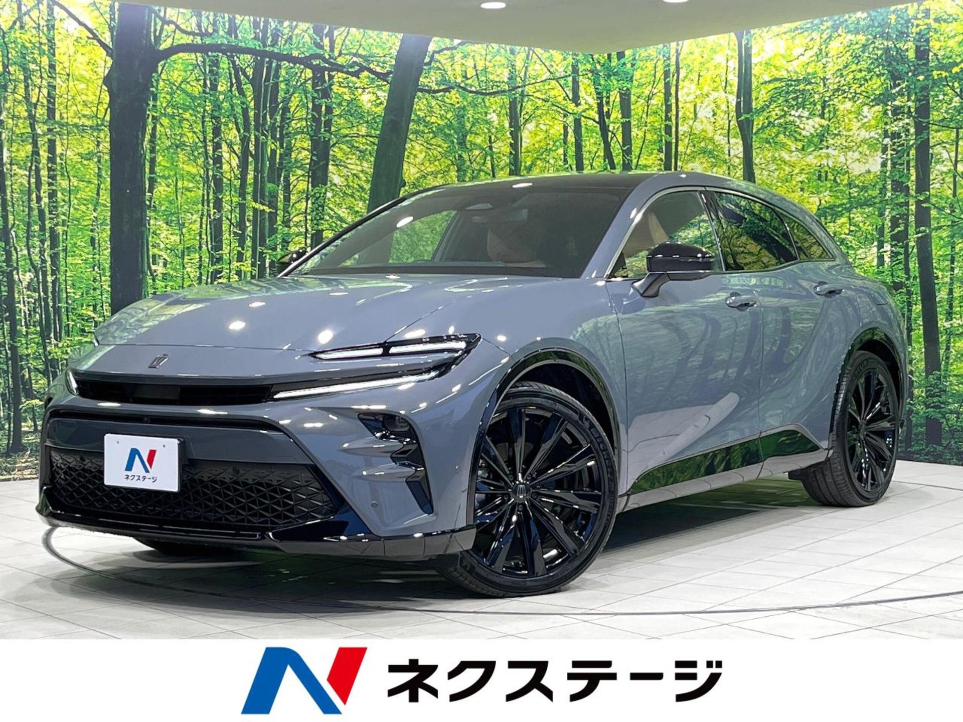 TOYOTA CROWN SPORT - View 1