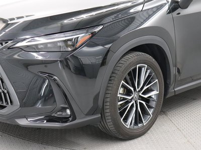 2023 Lexus NX — миниатюра 20