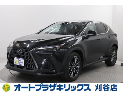 LEXUS NX - 1