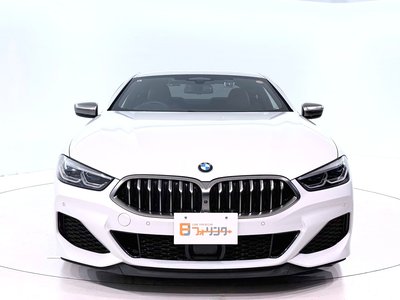 2019 BMW 8 SERIES thumbnail 11
