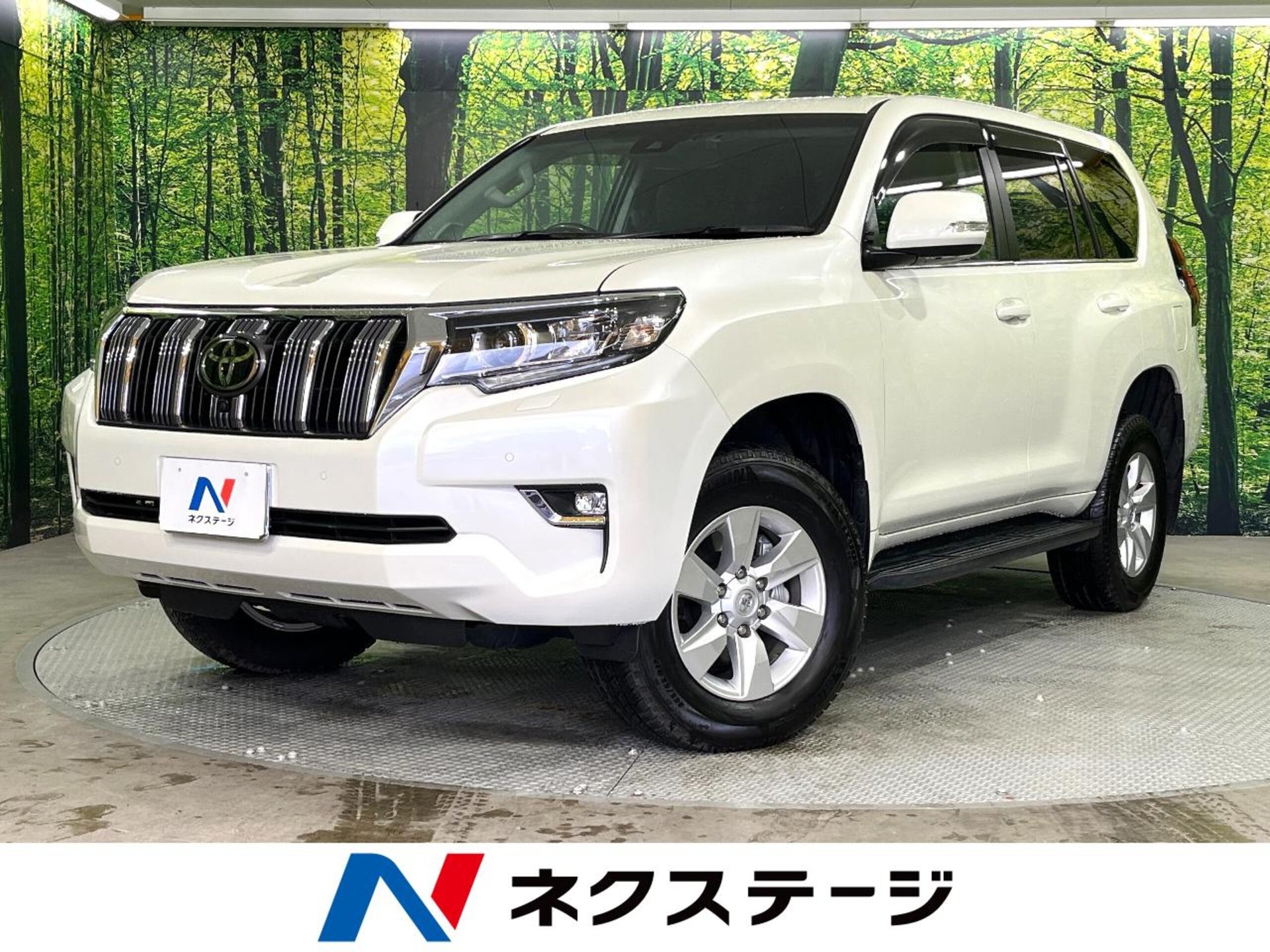 TOYOTA LAND CRUISER PRADO - View 1