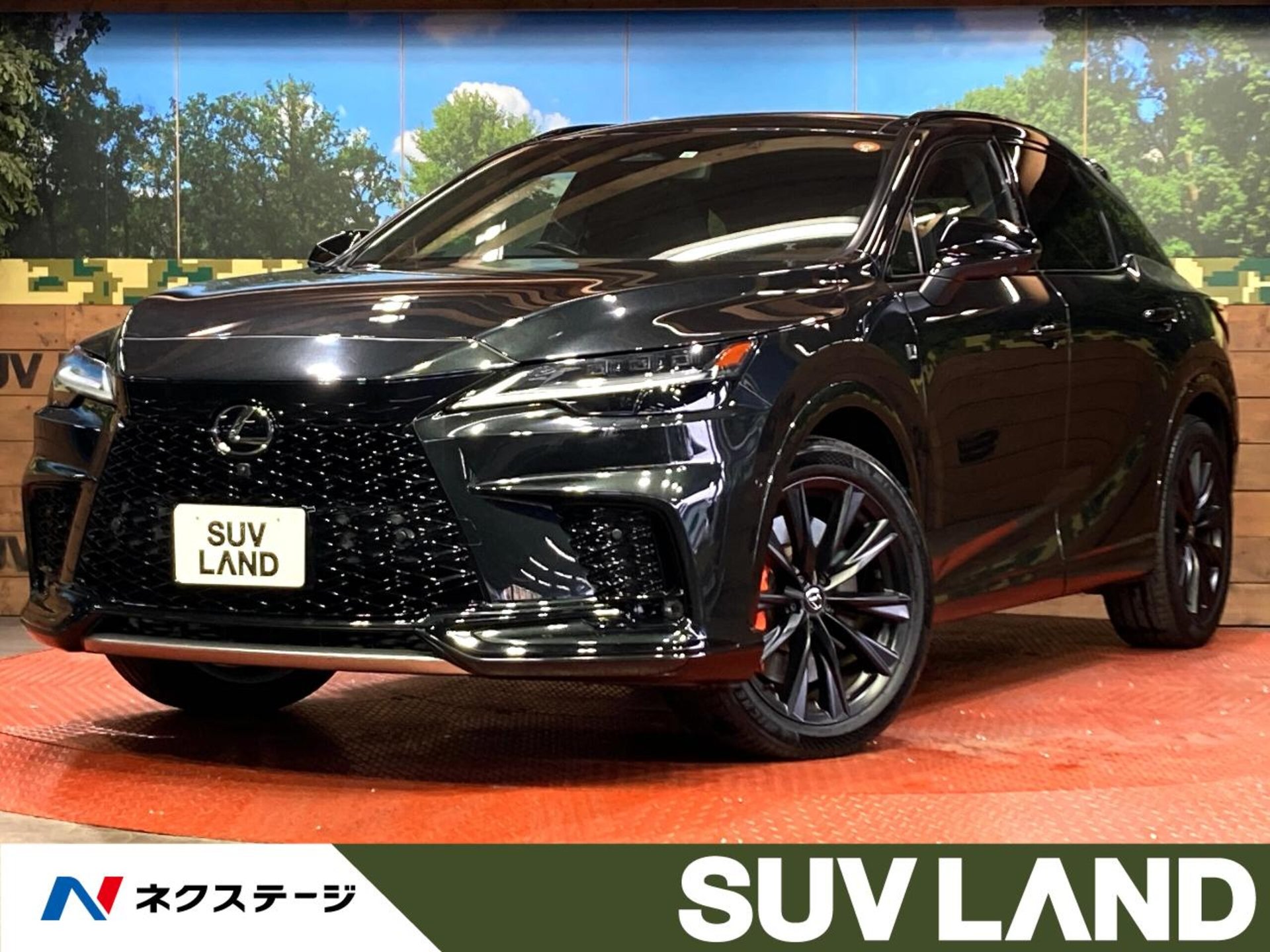 LEXUS RX - View 1