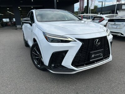LEXUS NX - 3