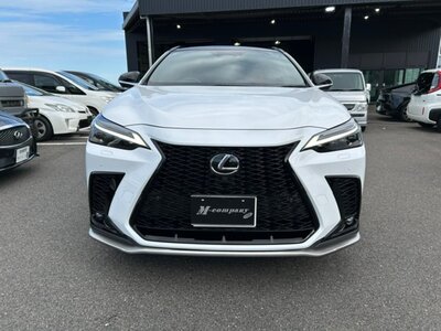 LEXUS NX - 4