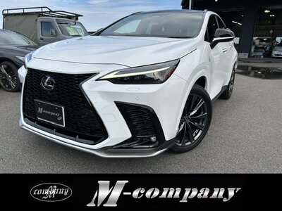 LEXUS NX - 2