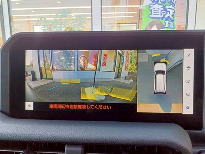 2025 Toyota LAND CRUISER 250 — фото 6