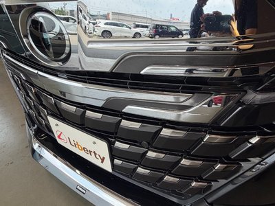 2023 Toyota ALPHARD 缩略图 61