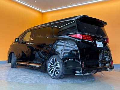 2023 Toyota ALPHARD 缩略图 20