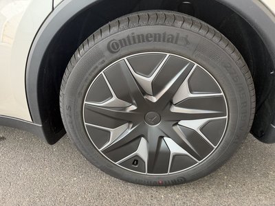2026 Tesla MODEL Y 照片 6