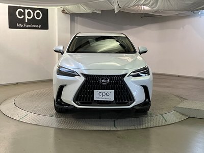 2023 Lexus NX 缩略图 6