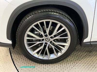 2023 Lexus NX 缩略图 12
