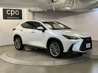 2023 Lexus NX 缩略图 11