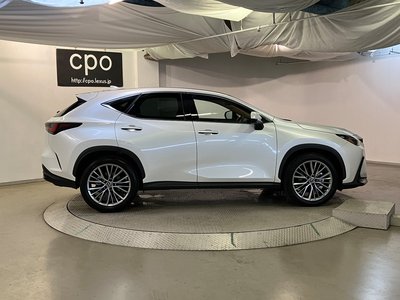 2023 Lexus NX 缩略图 10
