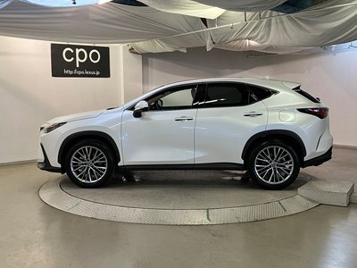 2023 Lexus NX 缩略图 9