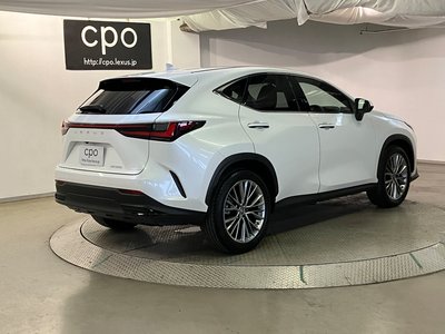 2023 Lexus NX 缩略图 8