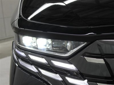 2024 Toyota ALPHARD 缩略图 22
