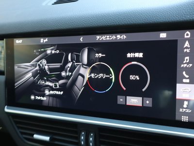 2020 Porsche CAYENNE thumbnail 42