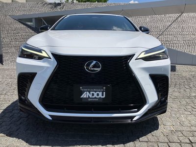 LEXUS NX - 6