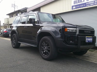TOYOTA LAND CRUISER 250 - 10