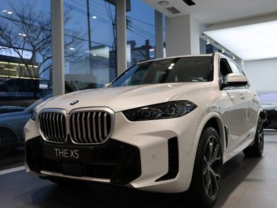 BMW X5 - 1
