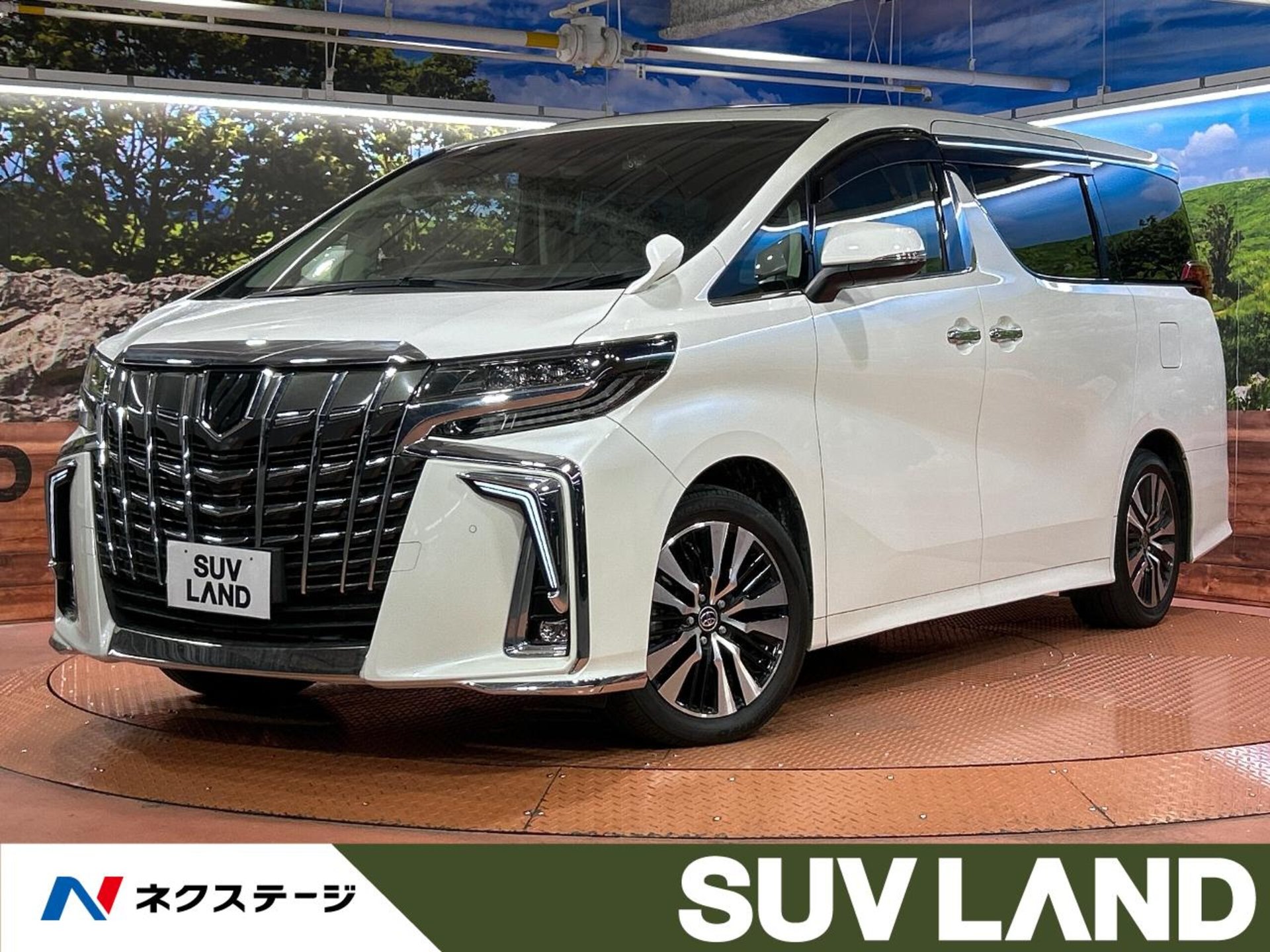 TOYOTA ALPHARD - View 1