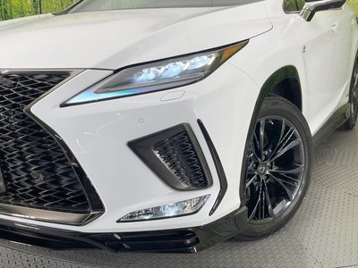 2020 Lexus RX 缩略图 12