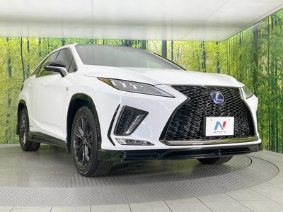 2020 Lexus RX 缩略图 16