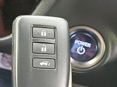 2020 Lexus RX 缩略图 50