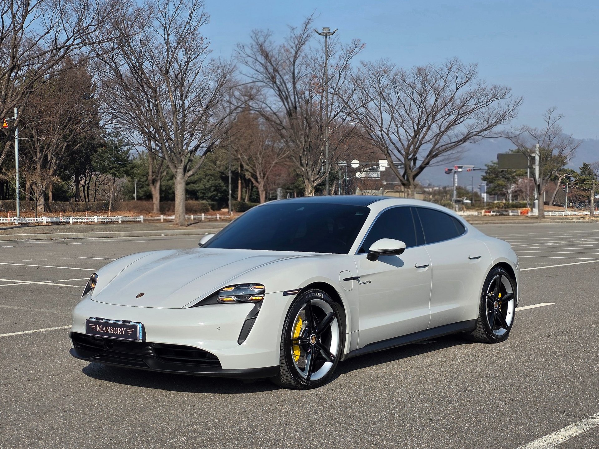 PORSCHE TAYCAN - View 1