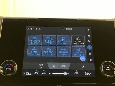 2025 Toyota ALPHARD — миниатюра 12