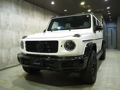 MERCEDES-BENZ G-CLASS - 4