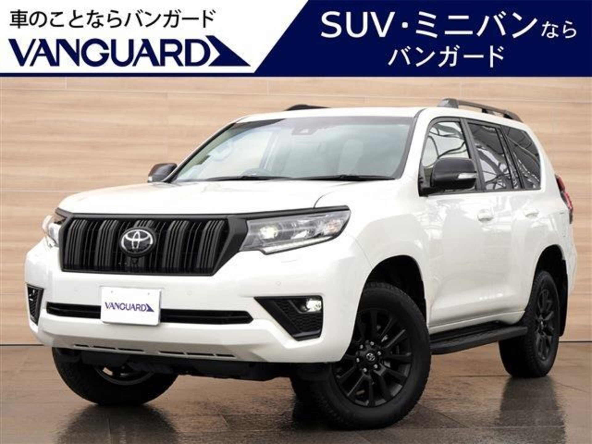 TOYOTA LAND CRUISER PRADO - View 1