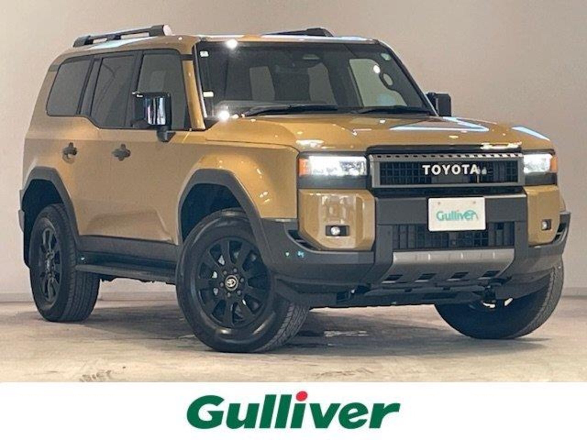 TOYOTA LAND CRUISER 250 - View 1