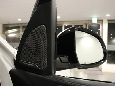 BMW X7 2021 thumbnail 22