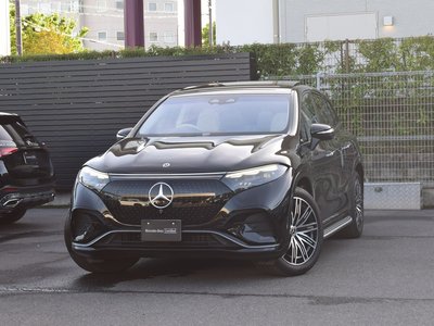 2025 Mercedes-BENZ EQS — миниатюра 15