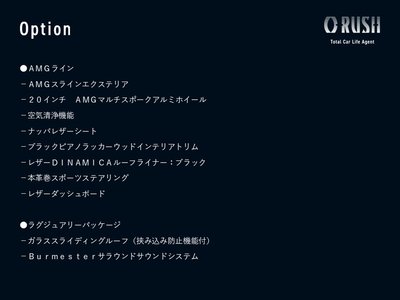 MERCEDES-BENZ G-CLASS - 2