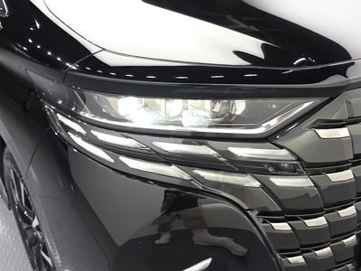 2025 TOYOTA ALPHARD photo 9
