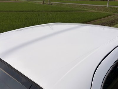 1995 Nissan SKYLINE thumbnail 14