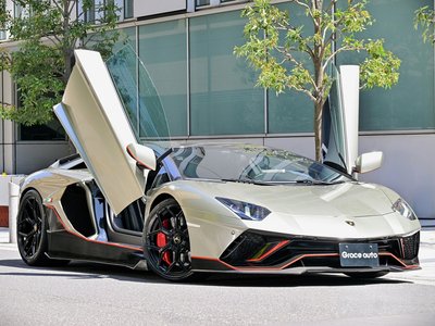 صورة مصغرة 28 لـ 2017 Lamborghini AVENTADOR