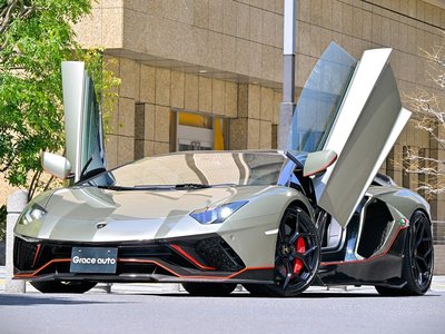 صورة مصغرة 24 لـ 2017 Lamborghini AVENTADOR