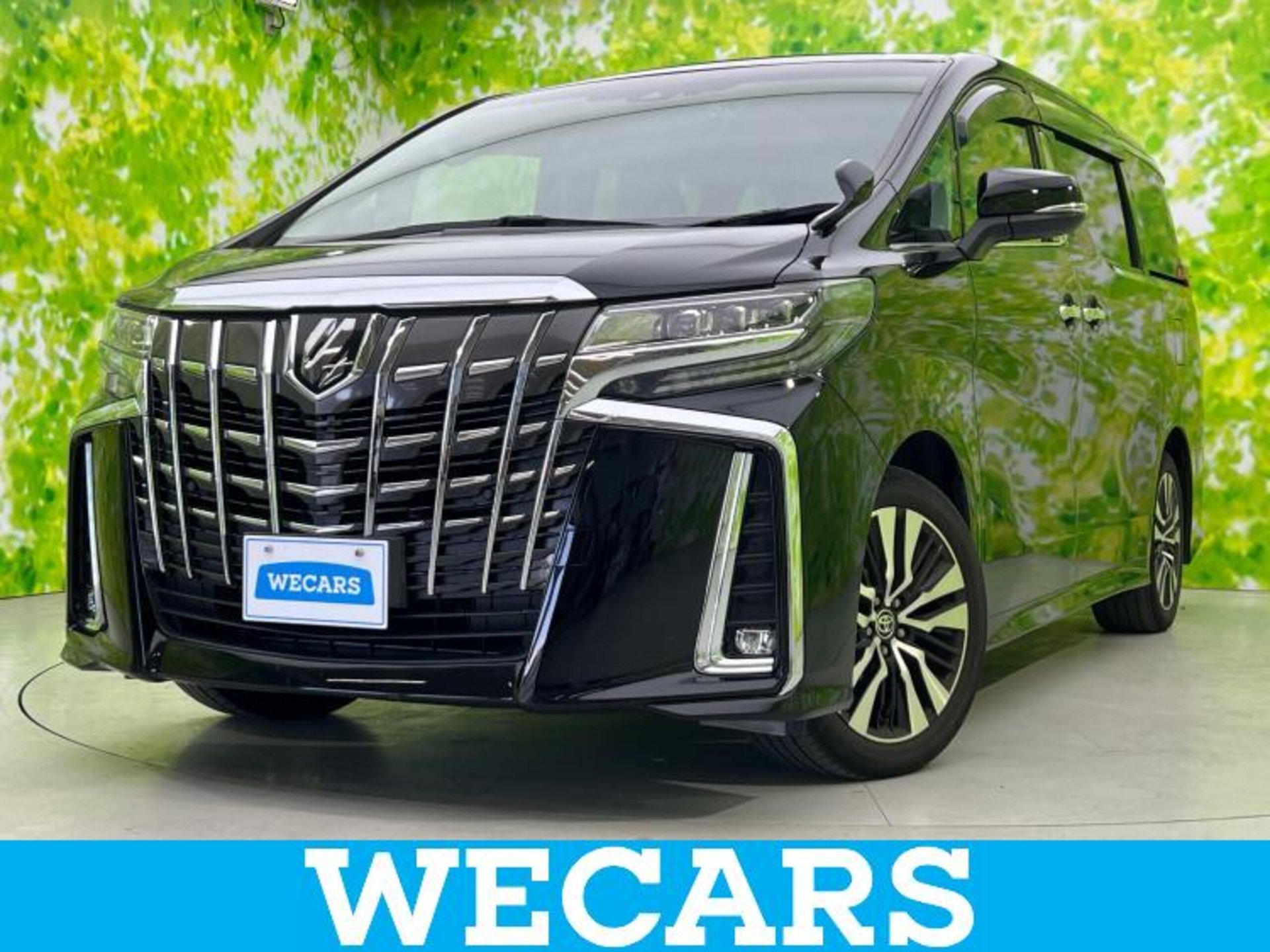 TOYOTA ALPHARD - View 1