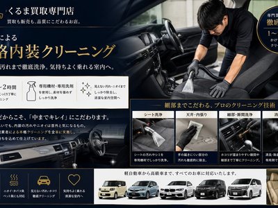TOYOTA ALPHARD - 3