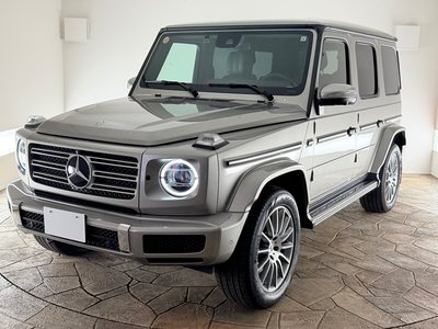 2021 Mercedes-BENZ G-CLASS 缩略图 51