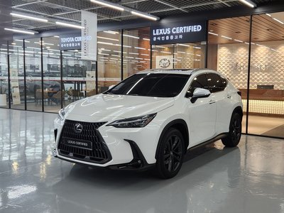LEXUS NX - 1