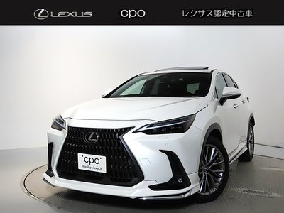 LEXUS NX - 1